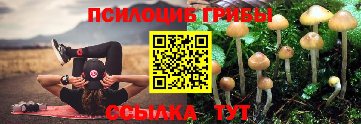 Соликамск  Галлюциногенные грибы GOLDEN TEACHER  Псилоцибиновые грибы Psilocybe  Вход с VPN 